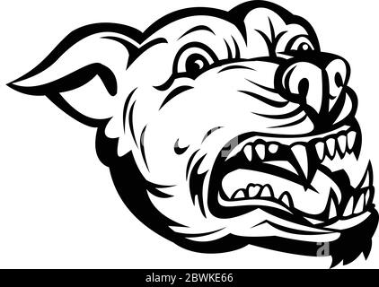 Illustrazione di stile retrò di un toro di testa o pitbull, un nome comune per un tipo di cane disceso da bulldogs e terrori, arrabbiato e abbaiare su iso Illustrazione Vettoriale