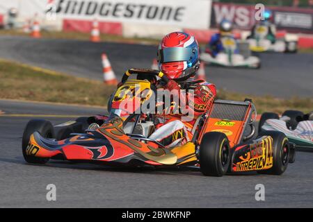 Daniil Kvyat, visto qui nella sua carriera karting, Kvyat, è un pilota russo di Formula uno che attualmente guida per la scuderia AlphaTauri. Foto Stock