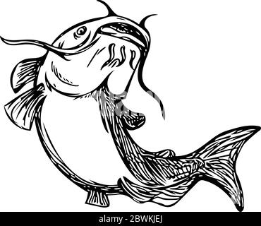 Disegno in bianco e nero illustrazione di un pesce gatto con alesatura a raggi noto anche come gatto di fango, polliwog o testa di mucca salta su insieme sull'isolat Illustrazione Vettoriale