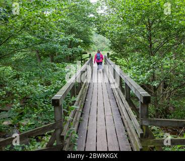 Una donna attraversa un ponte tra alberi sul Rail Trail, una breve passeggiata lungo una vecchia linea ferroviaria vicino a Beck Hole, nei North York Moors Foto Stock