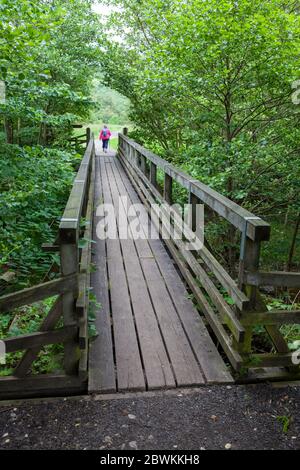 Una donna attraversa un ponte tra alberi sul Rail Trail, una breve passeggiata lungo una vecchia linea ferroviaria vicino a Beck Hole, nei North York Moors Foto Stock