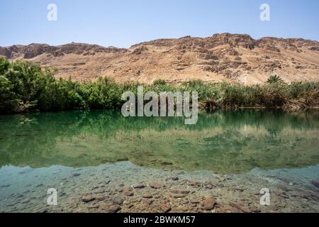 Ein Feshkha (arabo: عين فشخة‎; ebraico: עינות צוקים‎, Einot Tzukim Foto Stock