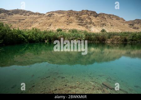 Ein Feshkha (arabo: عين فشخة‎; ebraico: עינות צוקים‎, Einot Tzukim Foto Stock