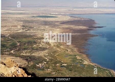 Ein Feshkha (arabo: عين فشخة‎; ebraico: עינות צוקים‎, Einot Tzukim Foto Stock