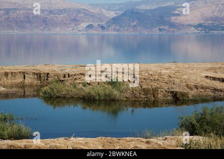 Ein Feshkha (arabo: عين فشخة‎; ebraico: עינות צוקים‎, Einot Tzukim Foto Stock