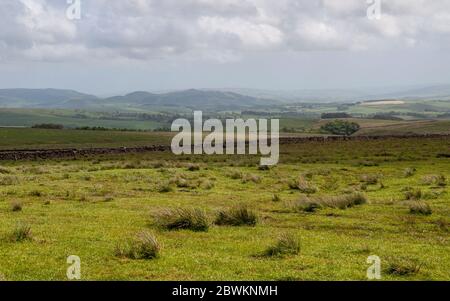 Flasby cade collina sorge sopra il paesaggio agricolo di Malhamdale e la Valle Aire sotto le colline brughiera delle Yorkshire Dales in Inghilterra. Foto Stock