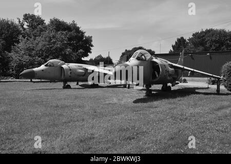 Rottami di mare Harriers a Charlwood, Surrey. Foto Stock