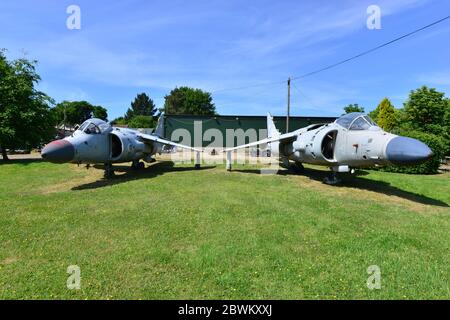 Rottami di mare Harriers a Charlwood, Surrey. Foto Stock