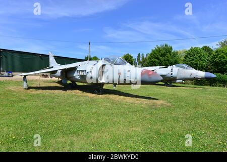 Rottami di mare Harriers a Charlwood, Surrey. Foto Stock