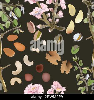 Rametti e noci in fiore di cedro, noci, brasile, nocciole, pistacchi, mandorle, cashews. Illustrazione vettoriale senza giunture. Fiori e frutta frutta albero noci Foto Stock