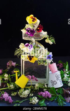 Vasi di vetro di varie forme con fiori colorati, lattina decorativa e secchi per il giardinaggio, sfondo scuro, equilibrio ed equilibrio Foto Stock