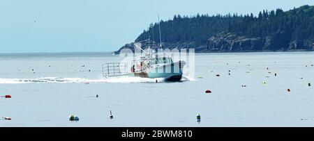Bar Harbor, Maine, USA - 29 luglio 2017: Una barca da pesca a base di aragosta che si aggira intorno alle boe di aragosta mentre si estraggono le aragoste del Maine dal vivo dalle loro trappole. Foto Stock