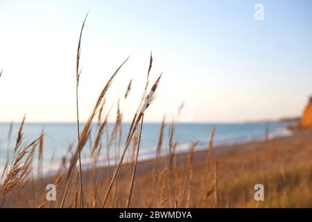 splendida vista sul mare e sul cielo al tramonto Foto Stock