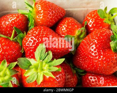 Fragole fresche in un fusto privo di plastica Foto Stock