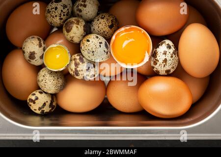 Pollo fresco e uova di quaglia in un vassoio di lattina ancora vita. Vista dall'alto. Fotografia di cibo per l'interno, vista dall'alto Foto Stock