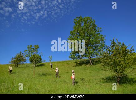 02 giugno 2020, Brandeburgo, Stützkow: I rangers della guardia naturale del Brandeburgo camminano attraverso le montagne Galow nel Parco Nazionale della bassa Valle dell'Oder durante il conteggio delle orchidee. Attualmente, le orchidee sono contate sui prati del Parco Nazionale per completare una statistica che è stata conservata per diversi anni. Nel Parco Nazionale della bassa valle dell'Oder crescono circa tre specie di orchidee, fondato nel 1995 come dodicesimo parco nazionale in Germania. Si estende su circa 10,500 ettari. La valle di Oder è uno degli ultimi paesaggi quasi naturali della pianura fluviale dell'Europa centrale occidentale con un grande n Foto Stock