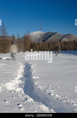 Monte Carrigain dal drenaggio Meadow Brook lungo il Sawyer River Trail a Livermore, New Hampshire durante i mesi invernali. Foto Stock