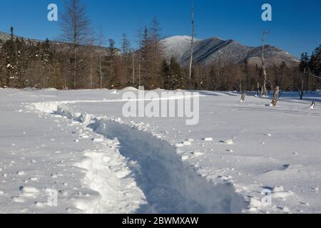 Monte Carrigain dal drenaggio Meadow Brook lungo il Sawyer River Trail a Livermore, New Hampshire durante i mesi invernali. Foto Stock