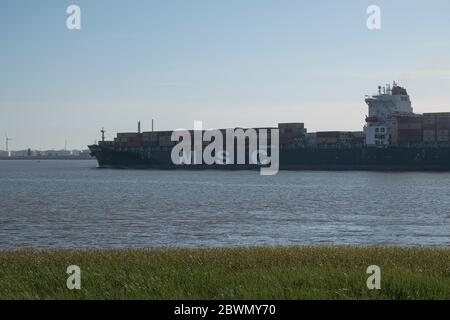 Doel, Belgio 31 maggio 2020, al mattino presto in tempo foggy la nave portacontainer MSC vicino al porto di Anversa Foto Stock