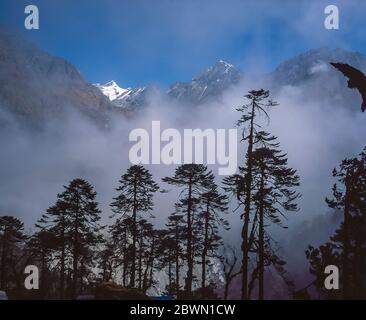 Nepal. Trekking a Mera Peak. Sentiero trekking nella zona forestale del Khola Kharta in rotta verso l'insediamento di Kote Foto Stock