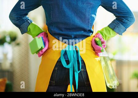 Primo piano su donna in grembiule arancione e guanti di gomma rosa con flacone spray di materiali di pulizia e spugna verde pronta per fare il lavoro domestico a casa in s. Foto Stock