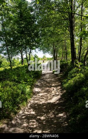 Un percorso di campagna attraverso i boschi intorno Digley Reservoir nel West Yorkshire popolare tra escursionisti e rampori per splendide viste sulla brughiera. Foto Stock