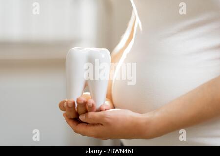 Donna incinta che tiene il modello del dente vicino alla sua pancia, vista ravvicinata. Concetto di salute dentale durante una gravidanza Foto Stock