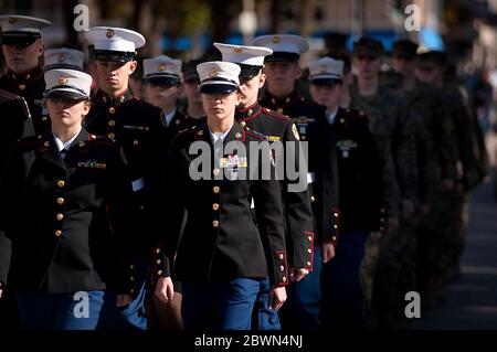 2013 St. Louis Veterans Day Parade Foto Stock