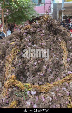 Una montagna di aglio raccolto venduto in un mercato stradale a Yining, Xinjiang, Cina Foto Stock