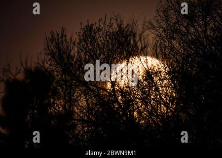 Full Pink Super Moon che si erge sulle Montagne Rocciose, Salida, Colorado, USA Foto Stock