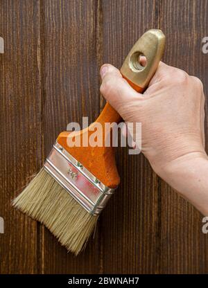 Un lavoratore dipinge una superficie di legno con una spazzola Foto Stock