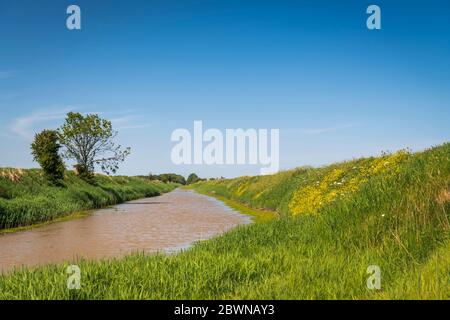 Un'estate, tre immagini HDR di Keyingham drain, parte di un programma di gestione del territorio, in South Holderness, East Yorkshire, Inghilterra. 28 maggio 2020 Foto Stock