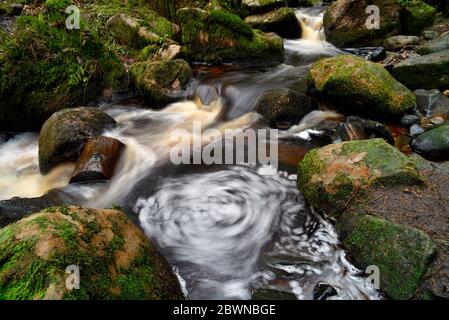 Wyming Brook, Sheffield Foto Stock