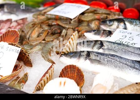 Pesce fresco, seppie, calamari e gamberetti in vendita presso un bar di pesce . Pesce su ghiaccio al banco. Cibo per la salute. Foto Stock