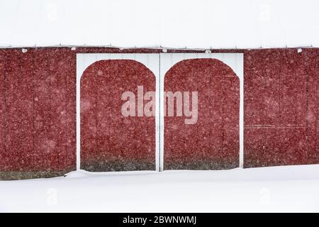 Granaio rosso con archi bianchi dipinti in modo che il contadino potrebbe trovare la sua strada alla porta di notte, durante una nevicata nel Michigan centrale, Stati Uniti [Nessuna proprietà Foto Stock