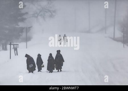 I bambini Amish che camminano a casa dalla loro scuola di una stanza in una bizzard nel Michigan centrale, Stati Uniti Foto Stock