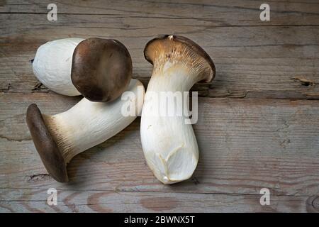 Funghi di ostriche fresche, Pleurotus eryngii, su tavole rustiche in legno, spazio copia, vista dall'alto, fuoco selezionato Foto Stock