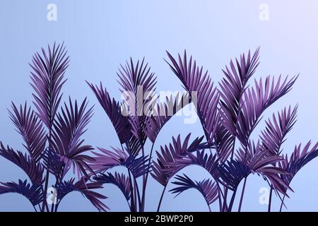 Palm frondano su sfondo blu illustrazione 3D Foto Stock