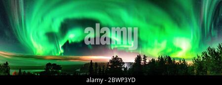 Panorama dell'aurora boreale - cielo parzialmente limpido con nebbia fitta brilla sopra il paesaggio della foresta fogy svedese in montagne, verde cintura di luci settentrionali curva Foto Stock