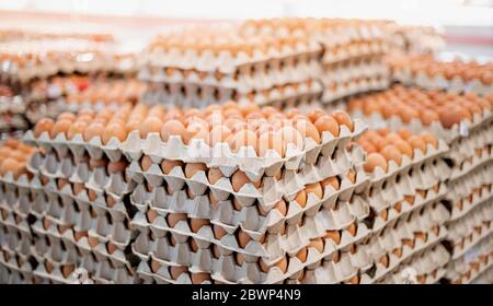 Uova fresche piene di vassoio di carta da allevamento di galline nella confezione che ha conservato per la vendita all'ingrosso e al dettaglio mercato. Foto Stock