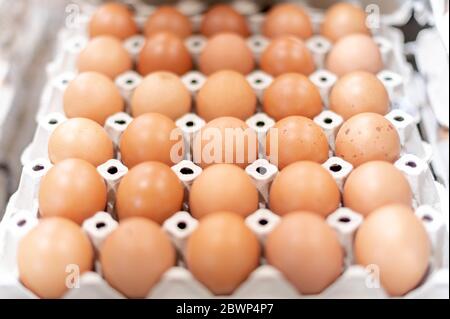 Uova fresche piene di vassoio di carta da allevamento di galline nella confezione che ha conservato per la vendita all'ingrosso e al dettaglio mercato. Foto Stock