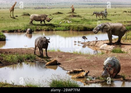 Kenya Africa safari scena con un grande gruppo di vari animali selvatici intorno a un buco di irrigazione Foto Stock