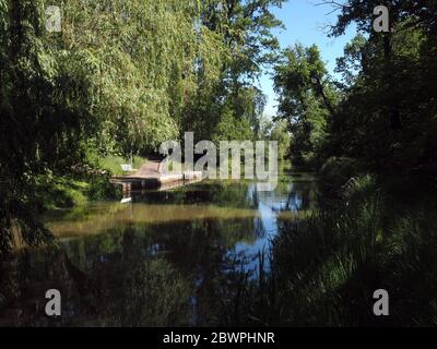 01 giugno 2020, Brandeburgo, Uebigau-Wahrenbrück: Il palco di sbarco per le chiatte di Spreewald vicino al mulino storico con una panchina bianca per sedersi. Il paesaggio fluviale ramificato del piccolo Spreewald può essere esplorato in canoa. Il noleggio di barche per escursioni tra le tre e le sei ore è aperto tra l'inizio di aprile e la fine di ottobre. Foto: Soeren Stache/dpa-Zentralbild/ZB Foto Stock