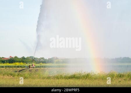 Arcobaleno causato dalla rifrazione della luce solare in gocce d'acqua da un sistema di irrigazione Foto Stock