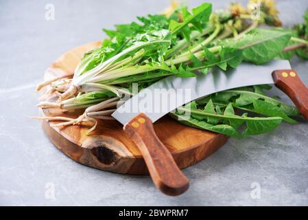 Dente di leone con radici su tavola di legno, spazio di copia. Concetto di naturopatia, medicina olistica di erbe, approccio alternativo. Dieta a basso contenuto di grassi. Foto Stock