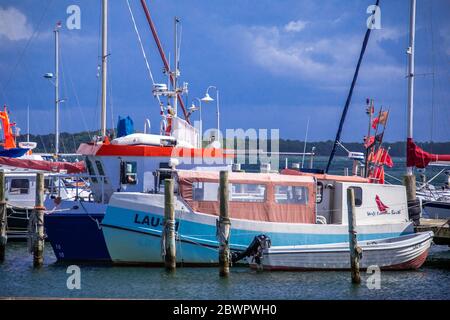 Lauterbach, Germania. 24 maggio 2020. Le barche da pesca sono ormeggiate nel porto di Lauterbach, sull'isola del Mar Baltico di Rügen. Rügen è la più grande isola tedesca in termini di superficie e, con una popolazione di circa 77,000 abitanti, la più popolosa. Credit: Jens Büttner/dpa-Zentralbild/ZB/dpa/Alamy Live News Foto Stock