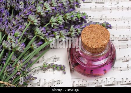 Matraccio con olio di lavanda Foto Stock