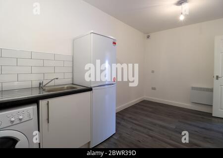 Moderno appartamento inglese con cucina e sala da pranzo con pavimento in legno grigio con pareti bianche e cucina moderna con lavatrice e bianca Foto Stock