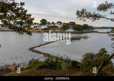 Oyster aziende agricole su Bender Island nel Golfo di Morbihan. Francia. Foto Stock