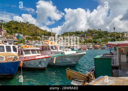 Vista sul Carnarge di St George's, Grenada, Windward Islands, West Indies, Caribbean, Central America Foto Stock